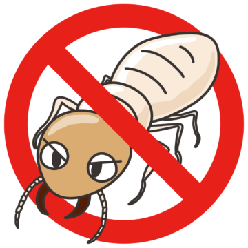 シロアリ駆除