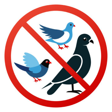 ハト駆除