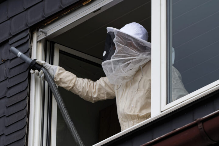 駆除作業開始<br>