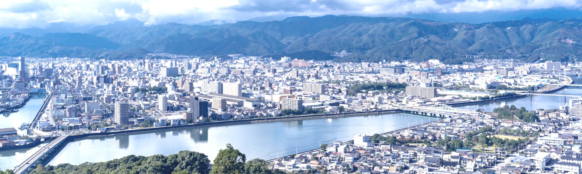 高知県全域の害虫・害獣駆除は有限会社環境コントロールセンター